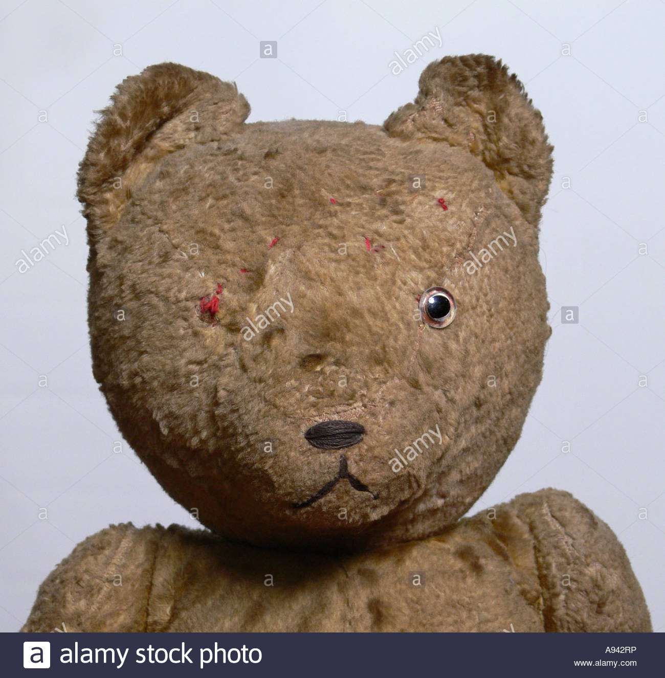 portrait of a victorian teddy bear Stock Image