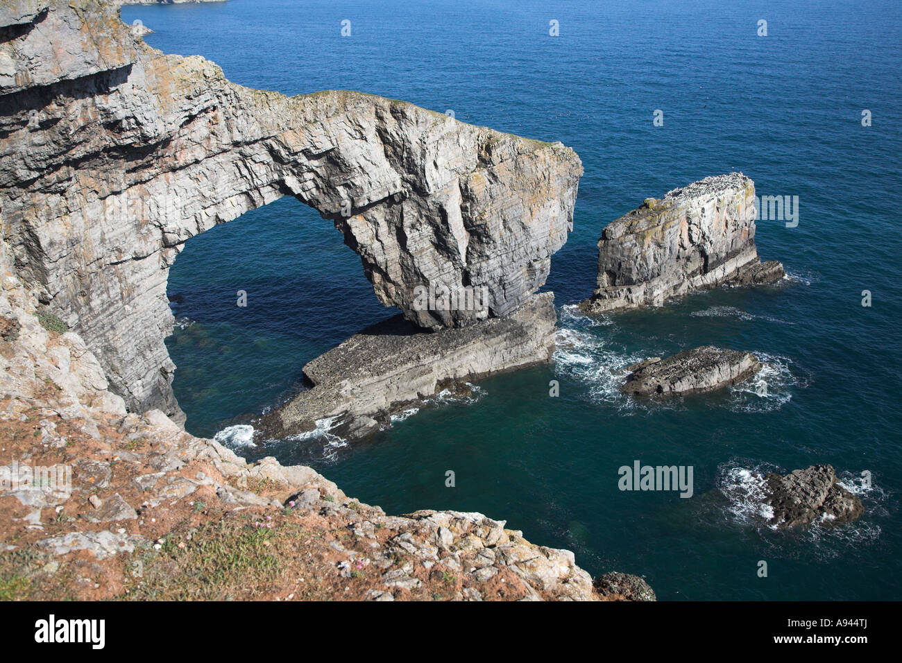 Sea Stack And Stump