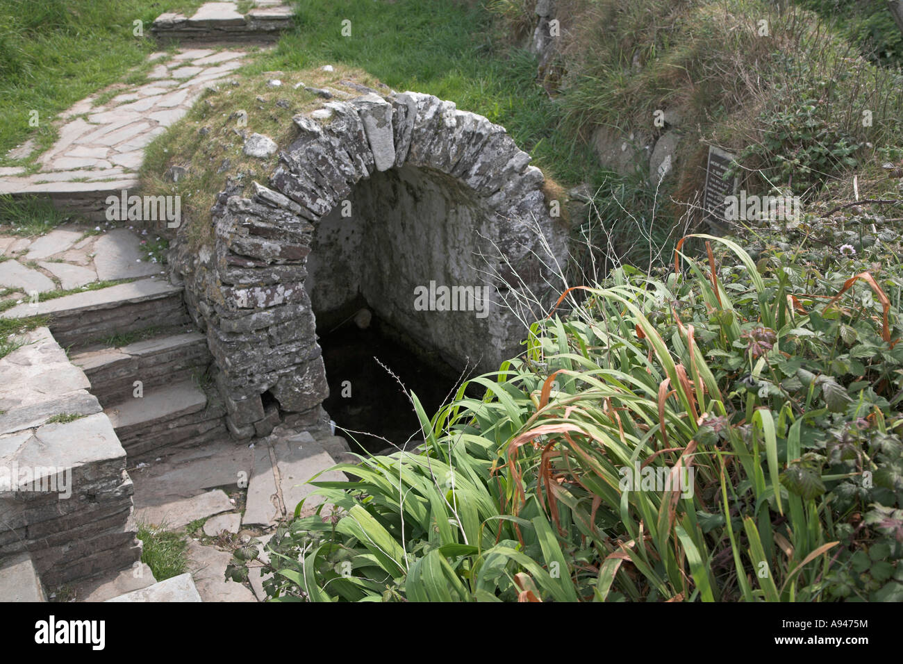 St Non's holy well, near Saint David's, Pembrokeshire coast national park, Wales Stock Photo