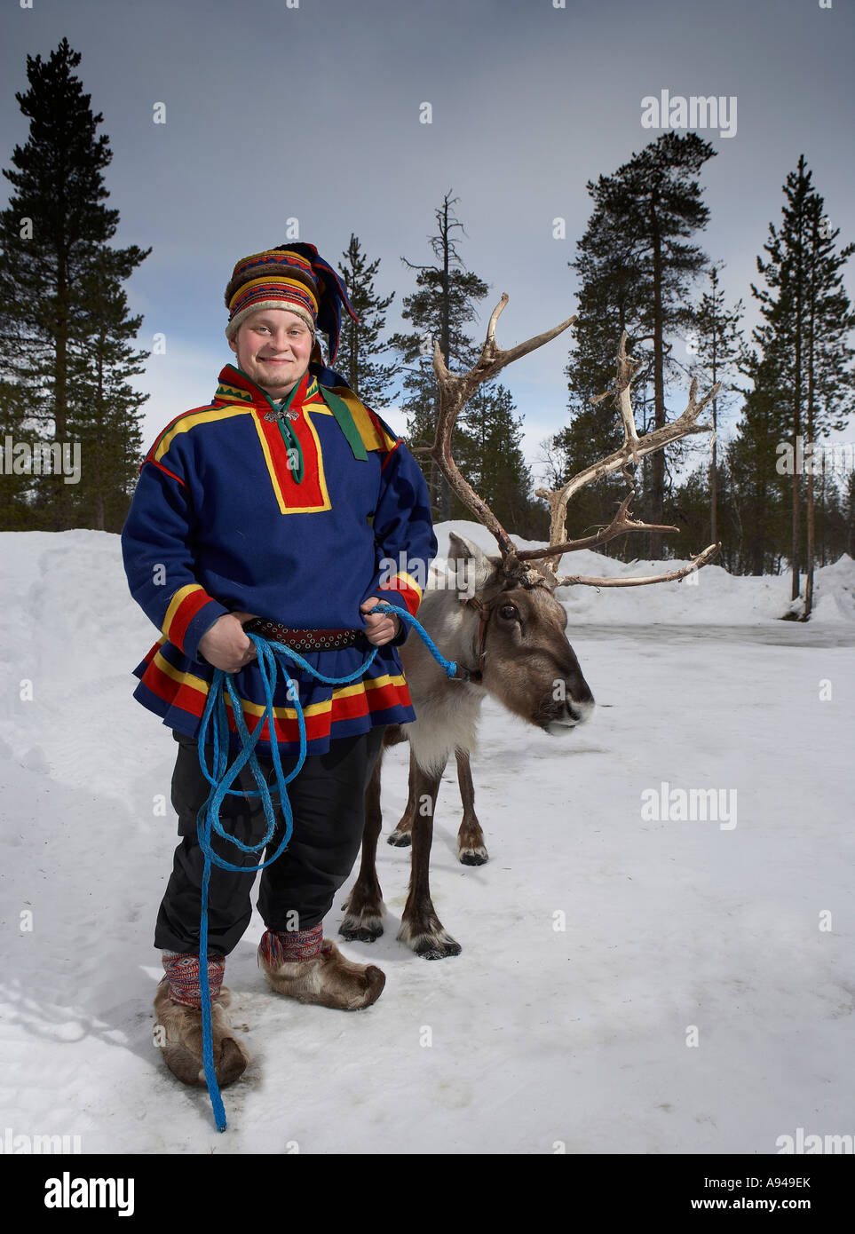 Sami with Reindeer, Lapland Finland Stock Photo