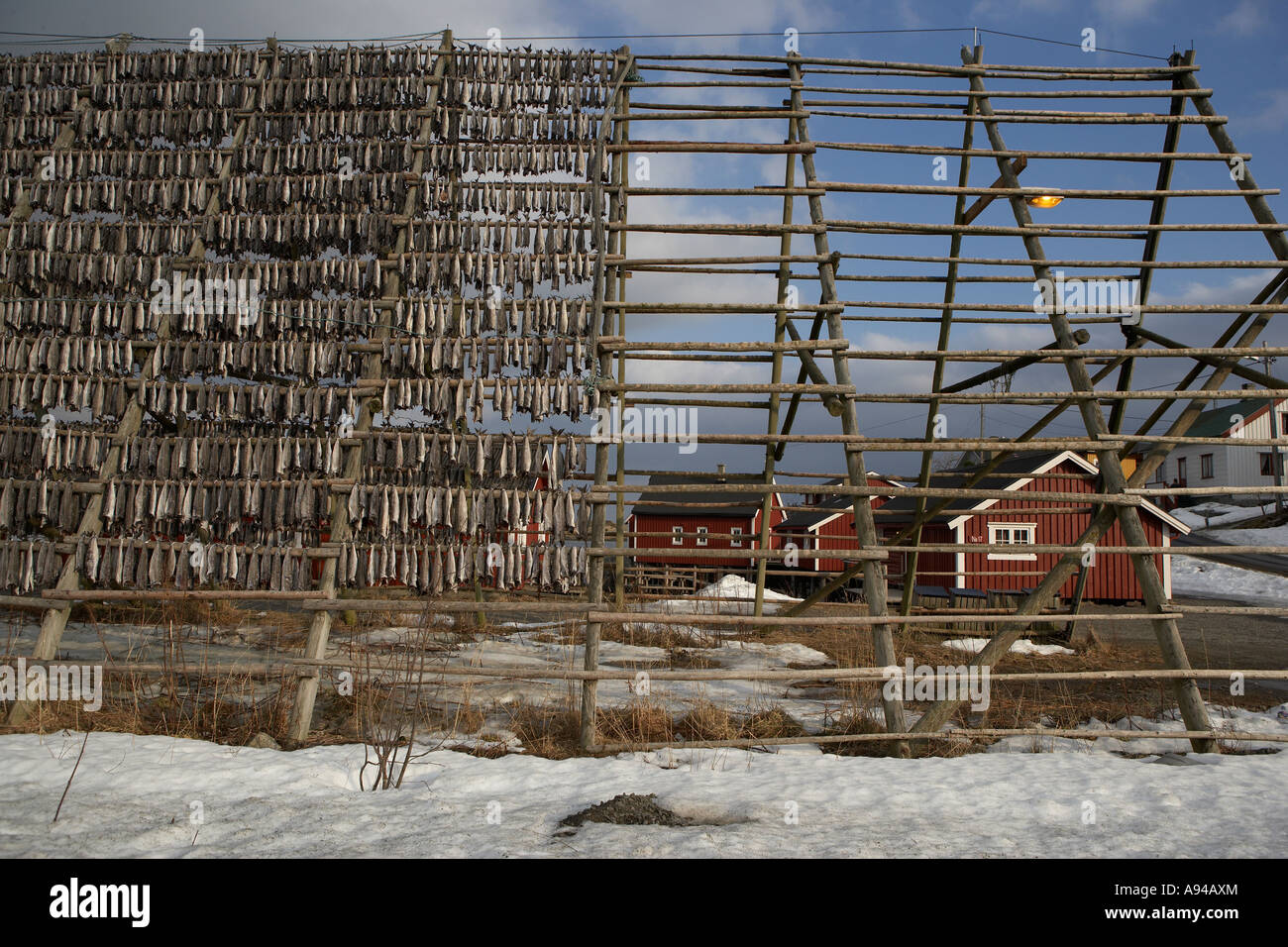 Dried cod fish hi-res stock photography and images - Alamy