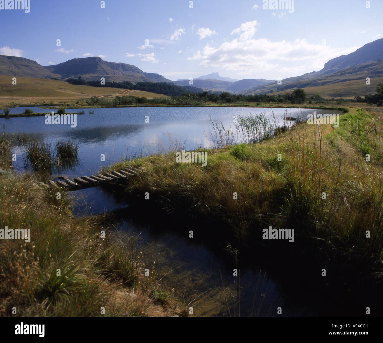 Kamberg nature reserve hi-res stock photography and images - Alamy
