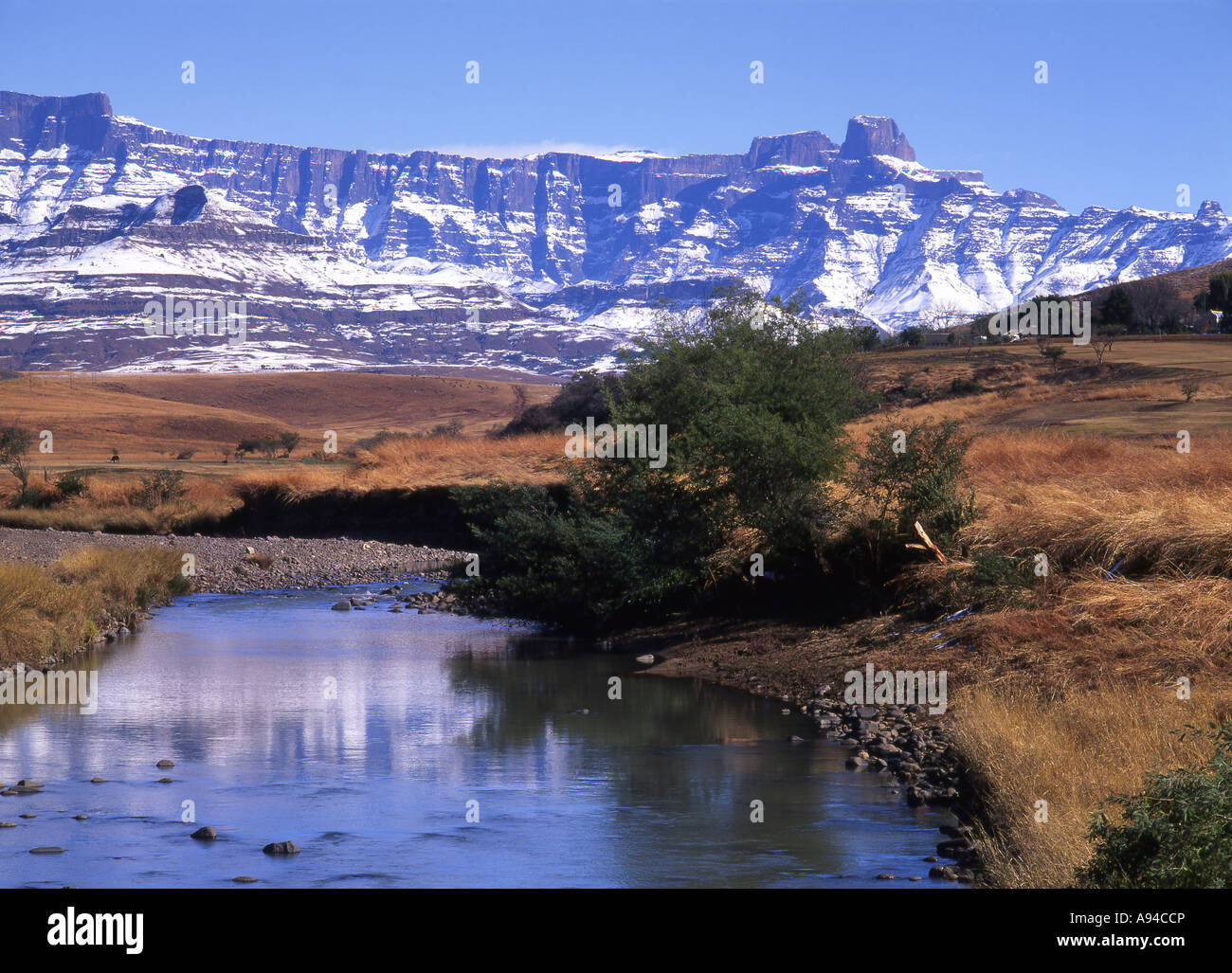 Snow on the Drakensberg mountains reflected in a cool mountain stream