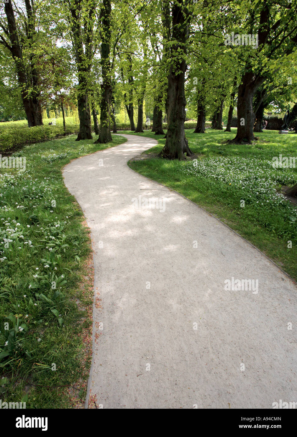 Wild Garlic, woodland walk, May Stock Photo Alamy