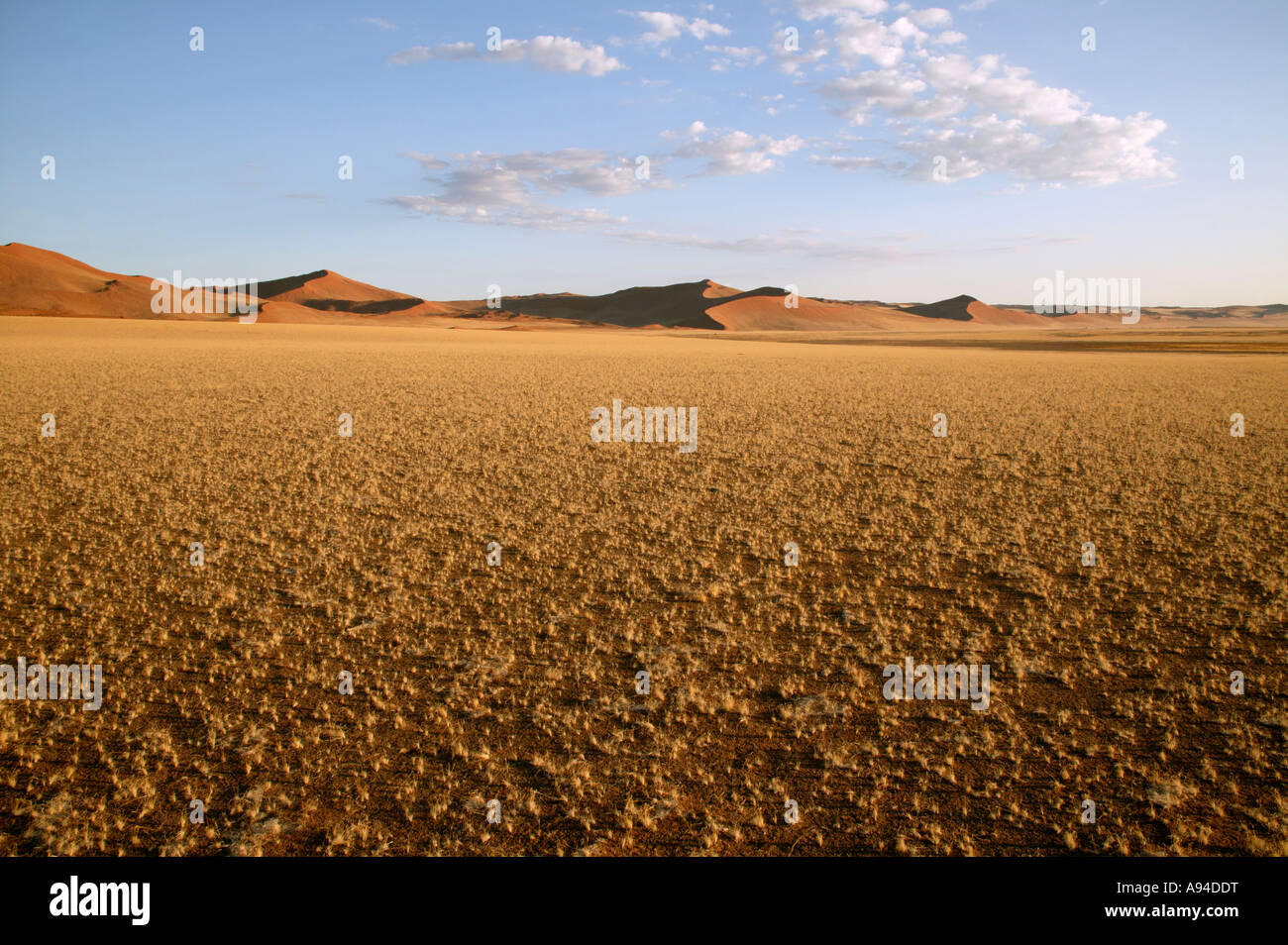 View over a dry desert valley in the Namib desert Sossusvlei Namibia Stock Photo