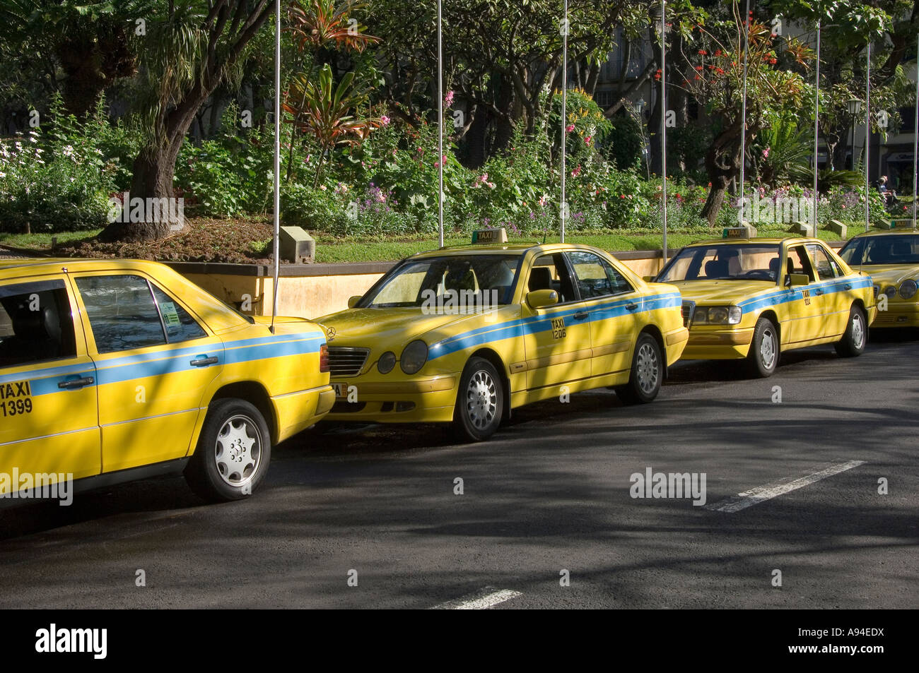 Yellow taxis cab cabs parked at taxi rank in the town city centre Funchal Madeira Portugal EU Europe Stock Photo