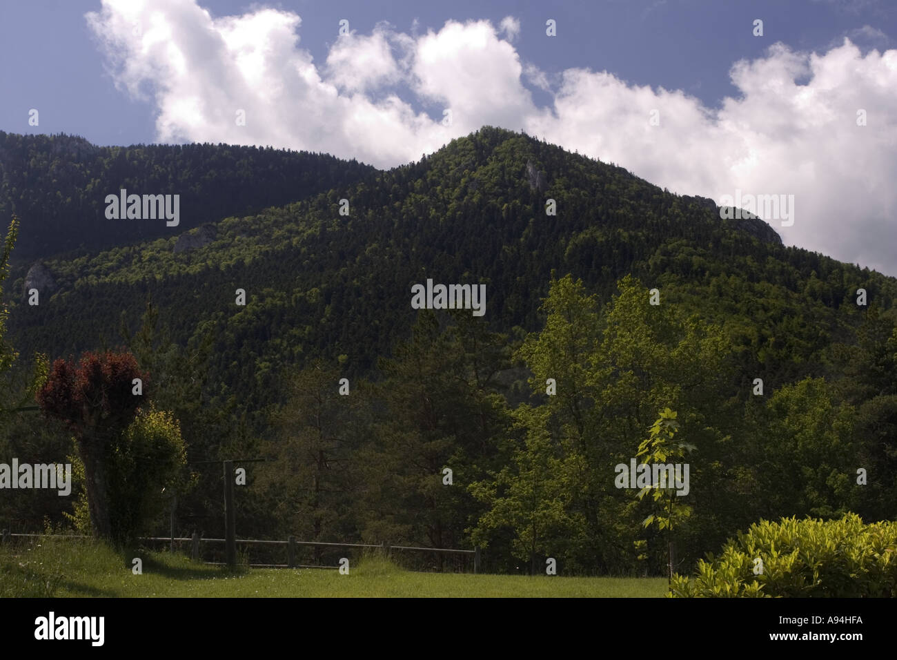 View of the Pyrenees, near Axat, France Stock Photo - Alamy