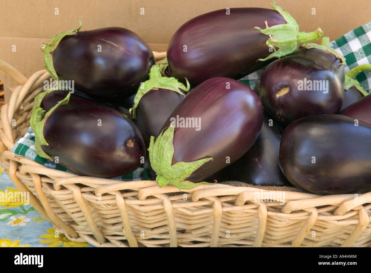 Harvested Eggplant in basket, California Stock Photo