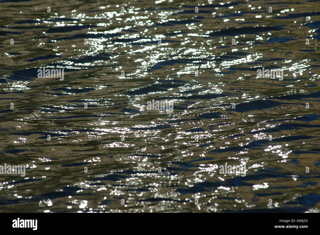 silver sheen on water surface dsca 3790 Stock Photo Alamy