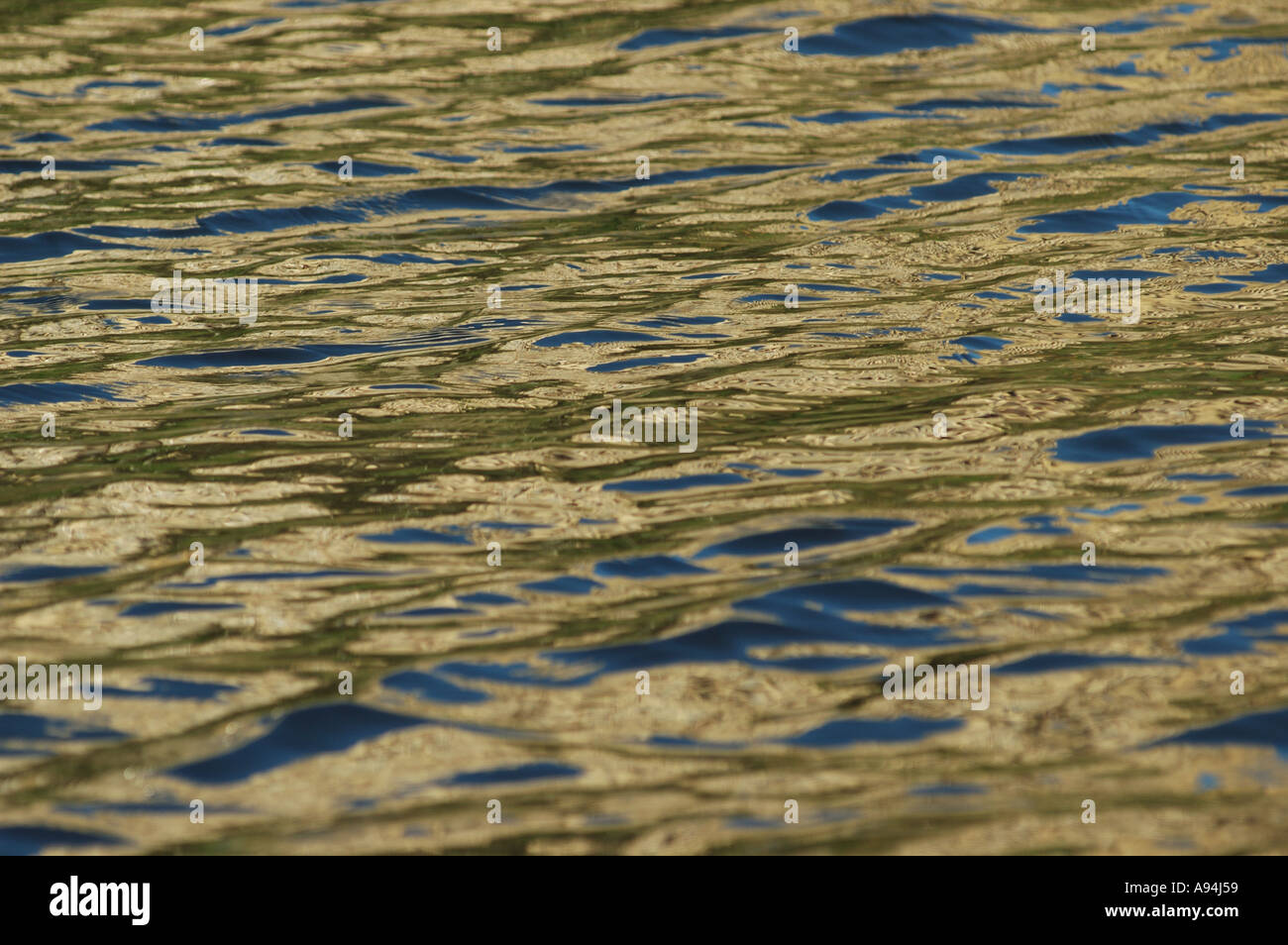 Golden sheen on water surface dsca 3801 Stock Photo