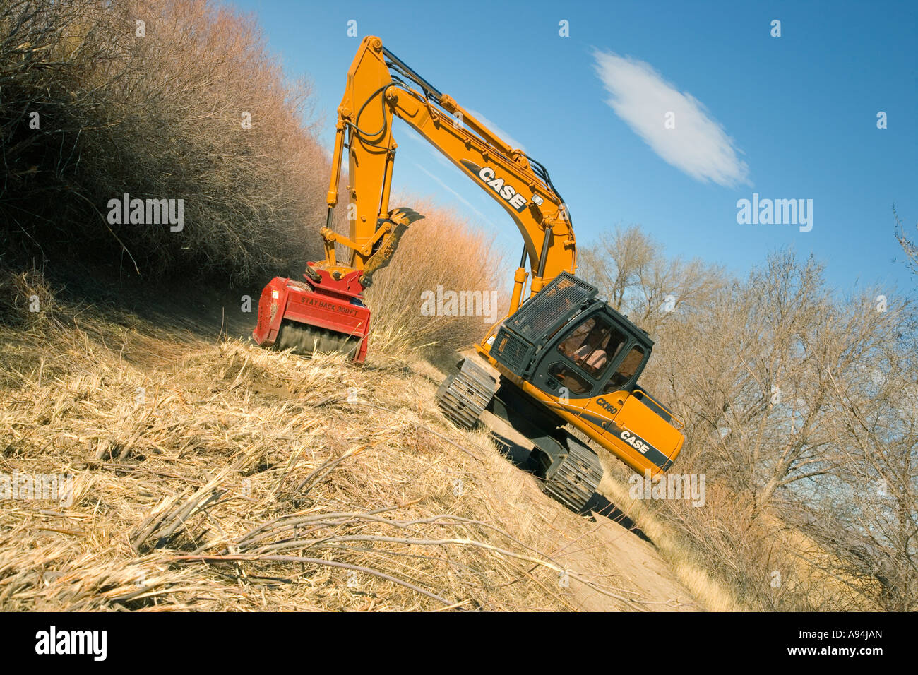 Case Excavator using brush cutter to clean agricultural irrigation ditch, Nevada Stock Photo