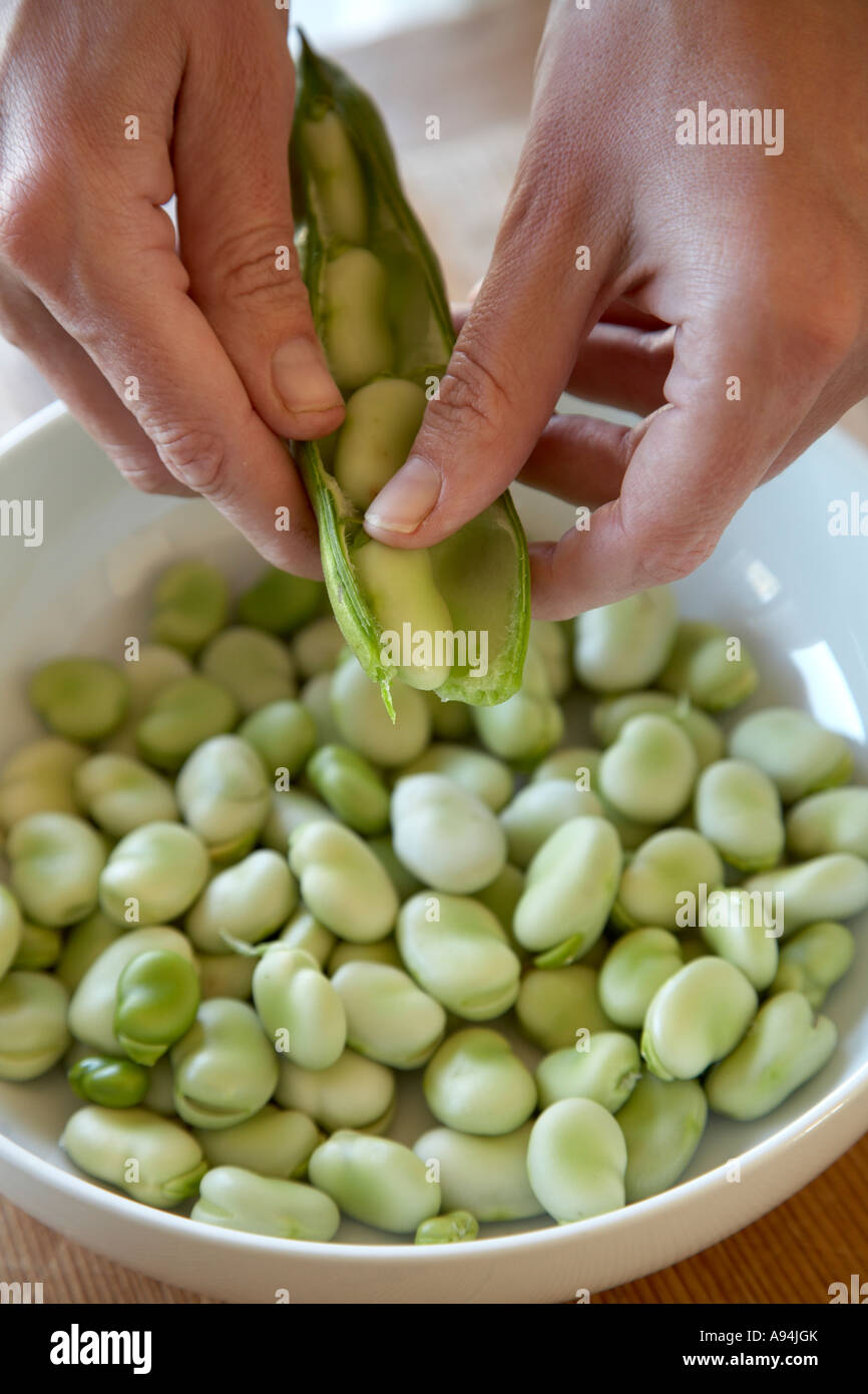 shelling broad beans from the pod into bowl Stock Photo Alamy
