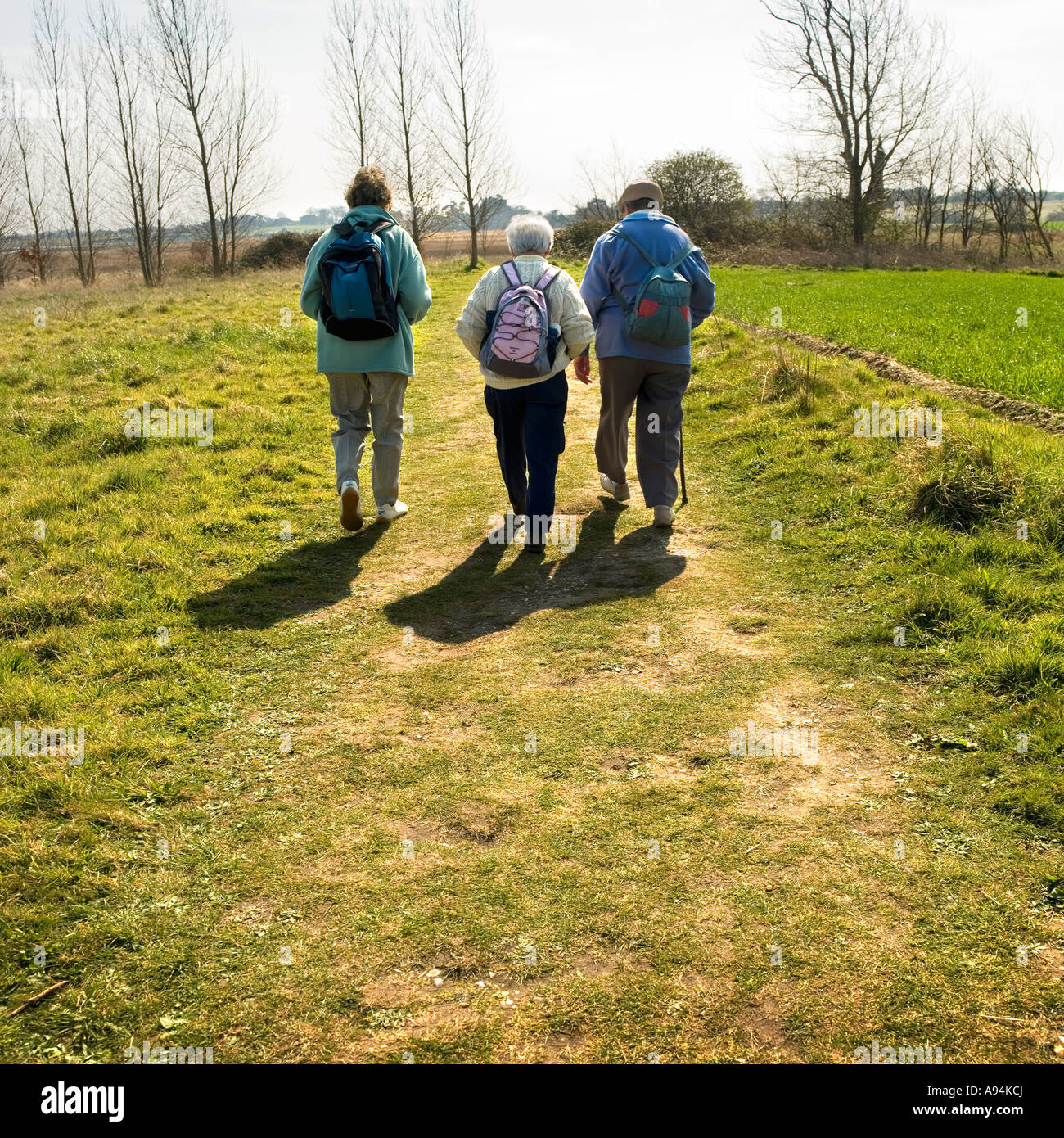 Ramblers walking away into the horizon No model release required as they are all back views, no recognizable features Stock Photo