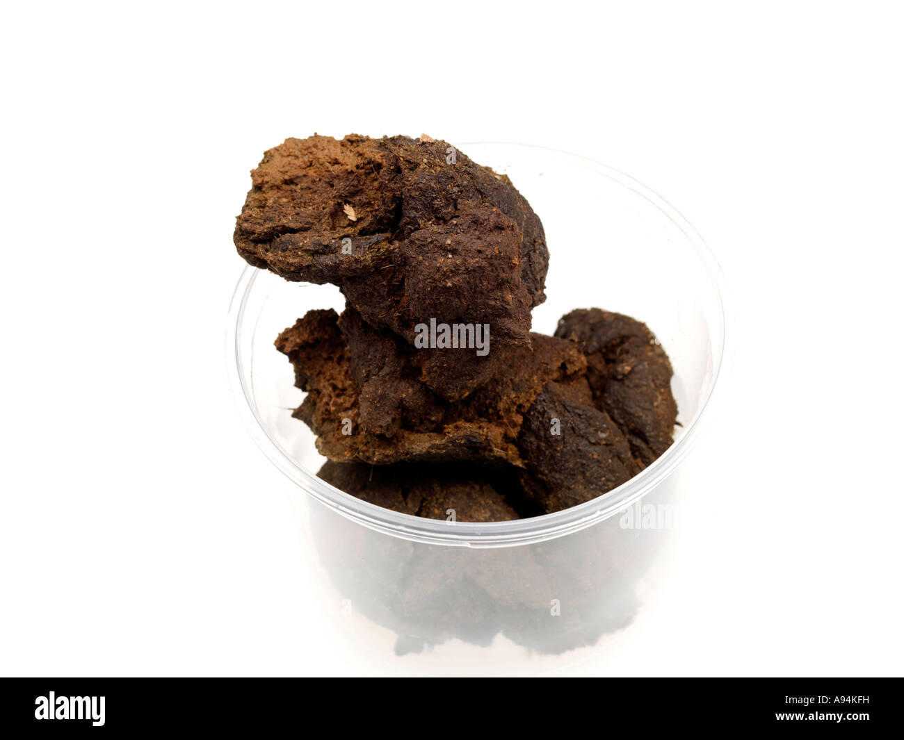 Faeces hires stock photography and images Alamy