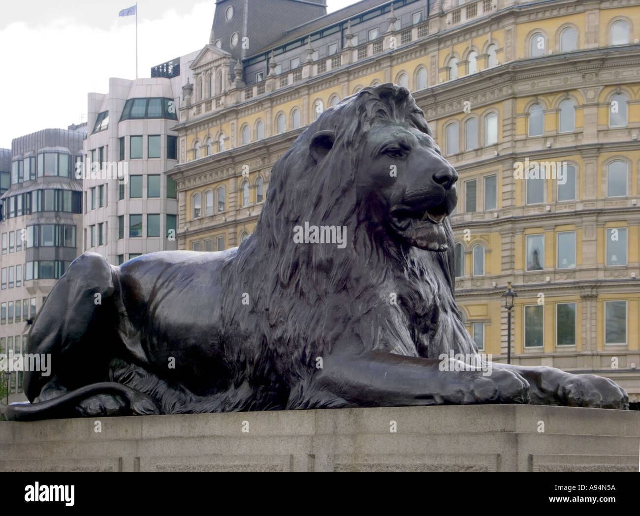 Lion statue at trafalgar square hi-res stock photography and images - Alamy