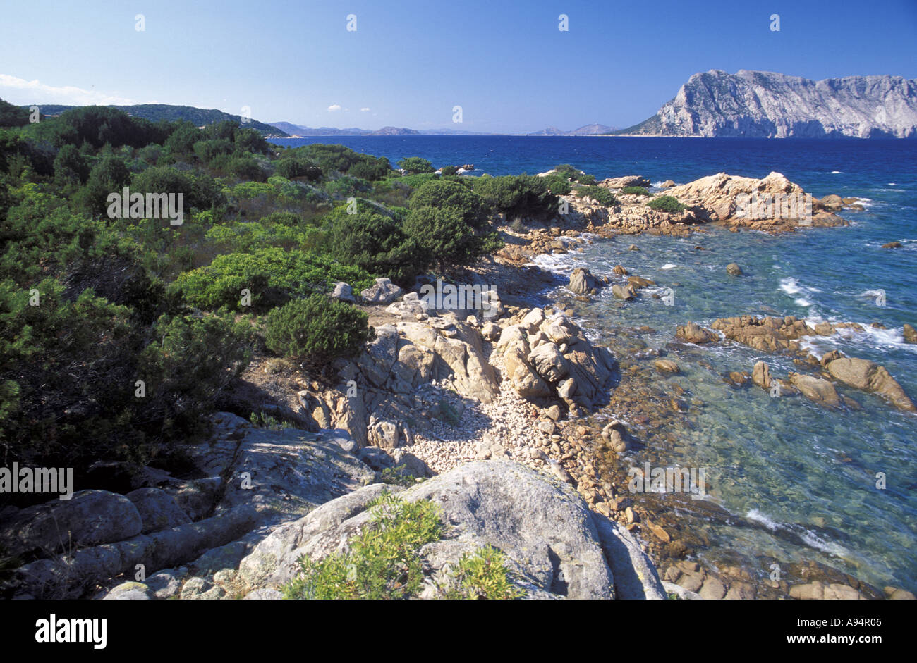 Mediterranean maquis Sardinia Italy Stock Photo