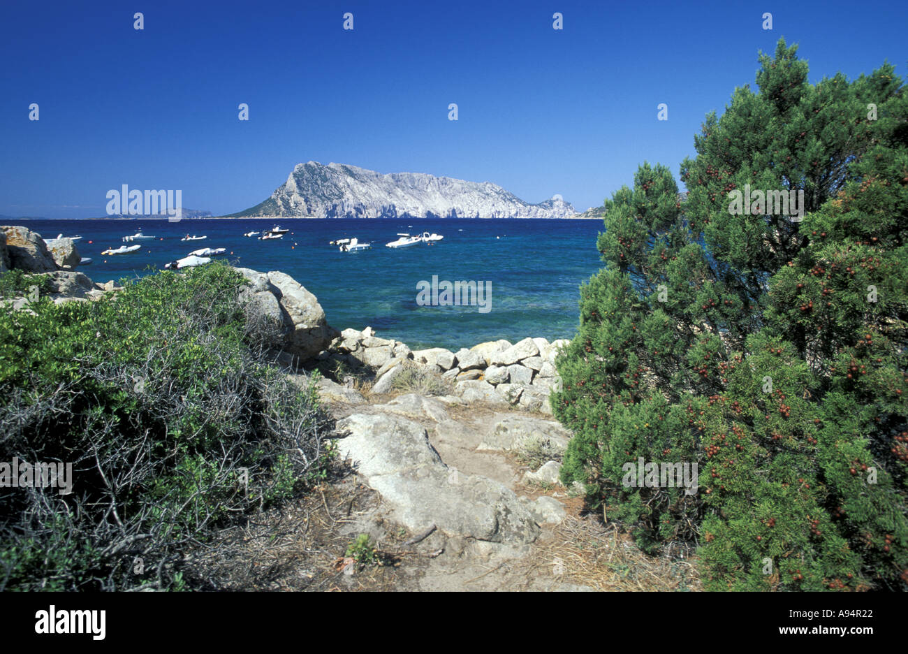 Tavolara - the smallest island kingdom Tavolara - the smallest island kingdom
