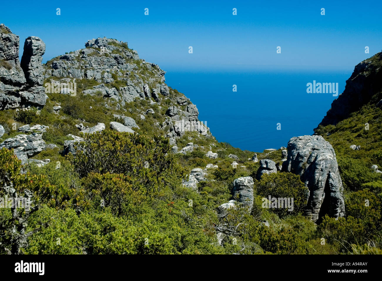 view-from-table-mountain-cape-town-south-africa-stock-photo-alamy