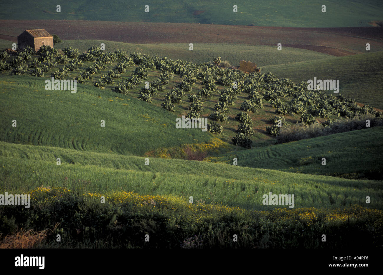 Countryside near Agira Sicily Italy Stock Photo