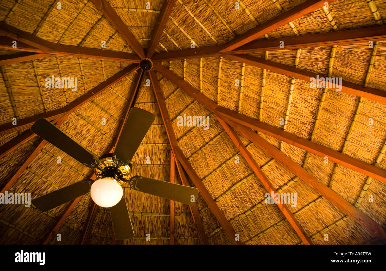 Ceiling Of Wildlife Safari Hut South Africa Stock Photo