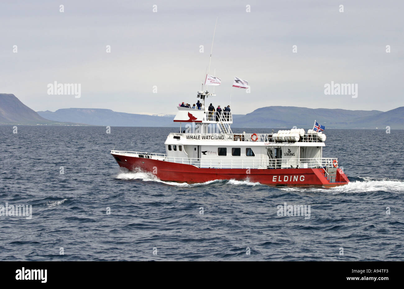 Whale iceland hi-res stock photography and images - Alamy