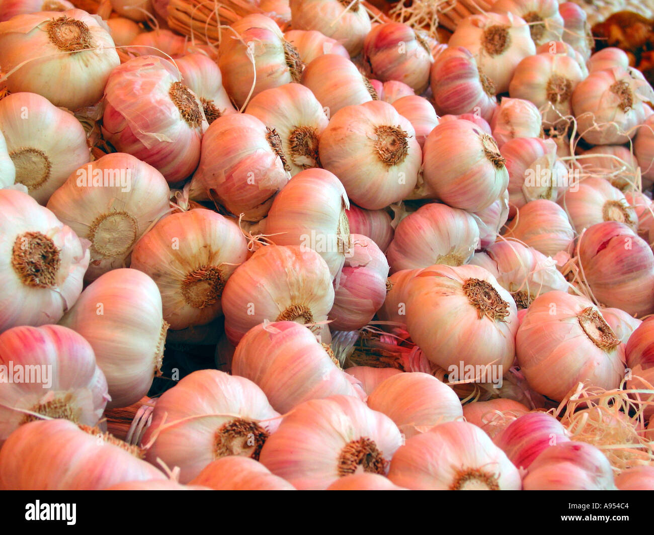 Close up of Fresh French Garlic on display at a French Market Garlic