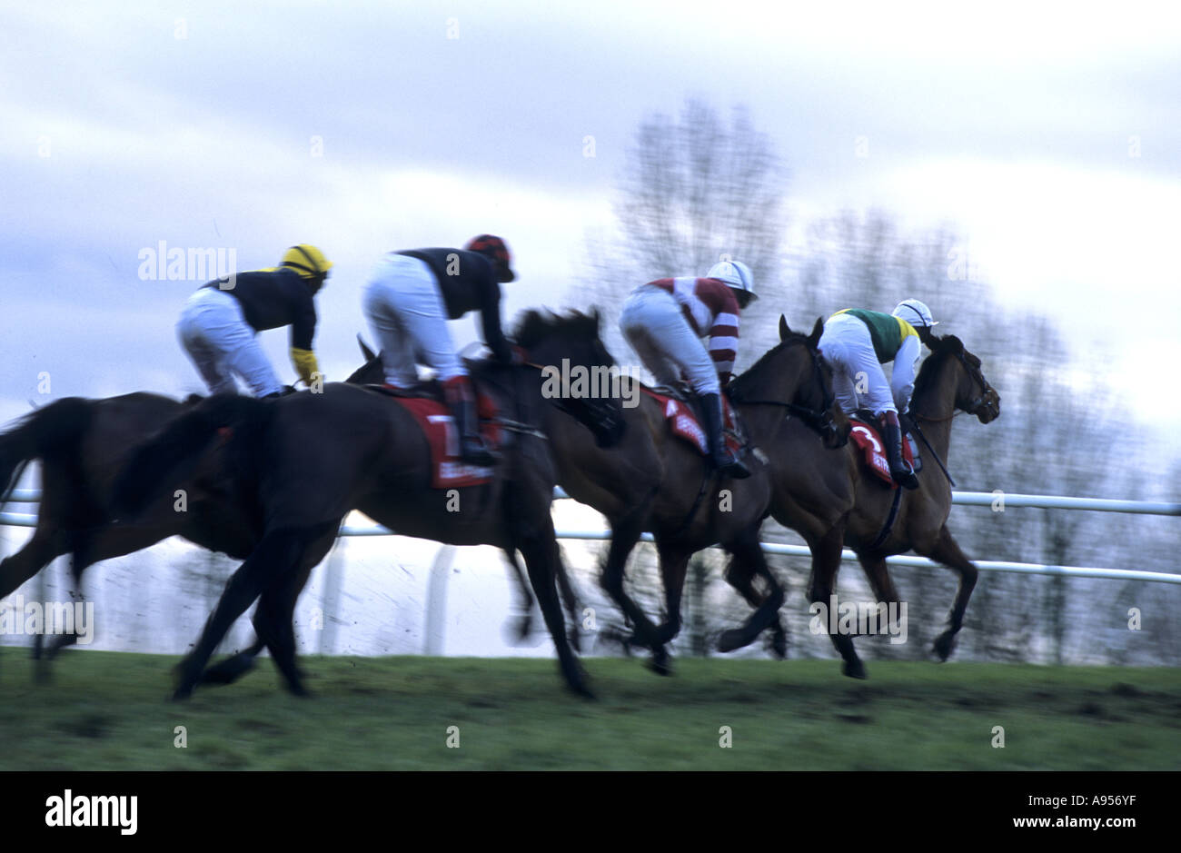 Horse racing at Warwick Races, Warwickshire, England, UK Stock Photo