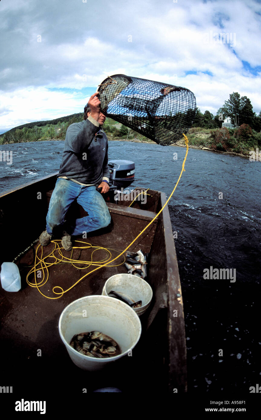 Eel trap hires stock photography and images Alamy