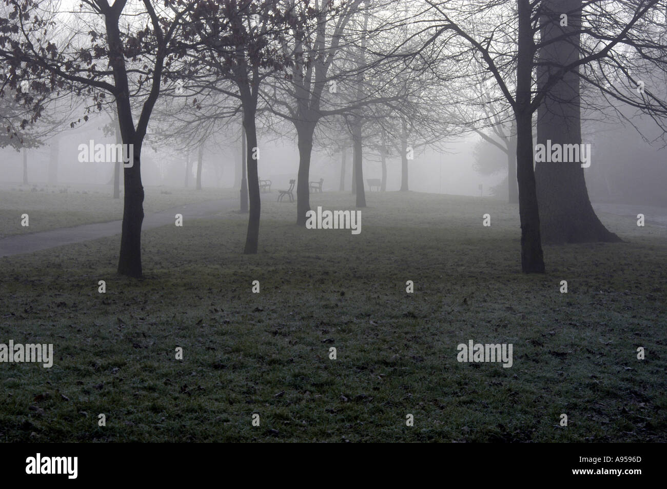 The Grove park in the Village area in Tunbridge Wells, Kent, on a misty