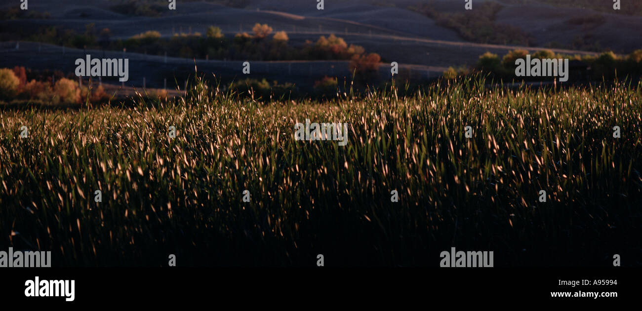 Nicolle flats marsh hi-res stock photography and images - Alamy