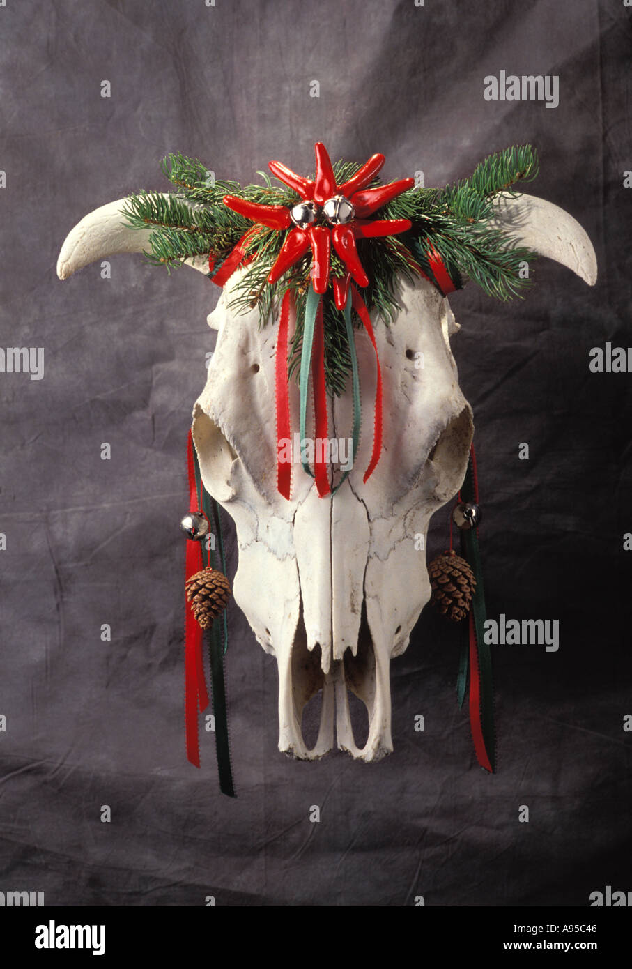 Southwest usa christmas decoration hi res stock photography and images
