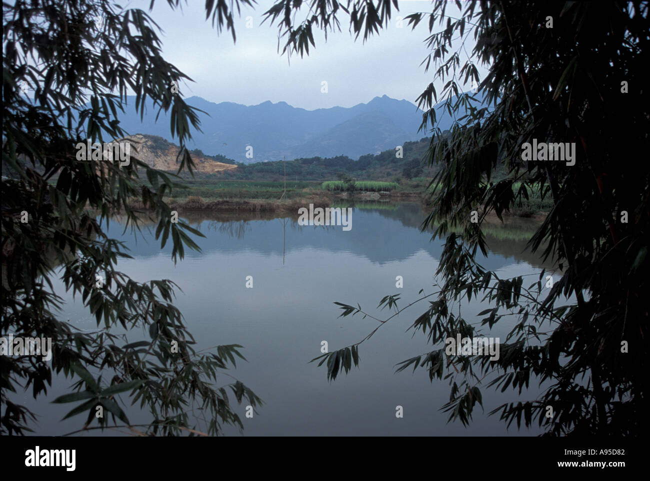 Chinese rice field Stock Photo - Alamy