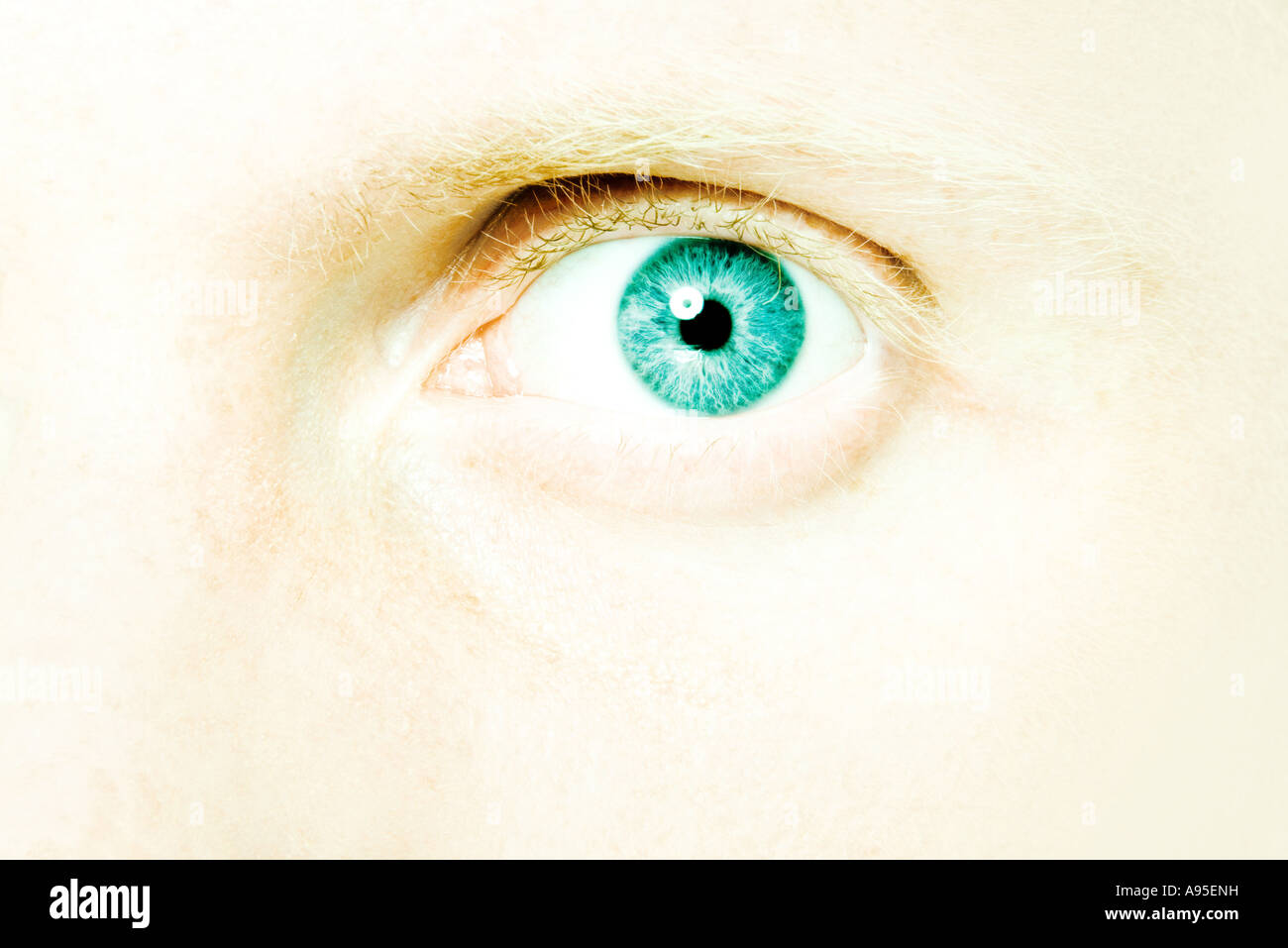 Male eye, extreme close-up Stock Photo