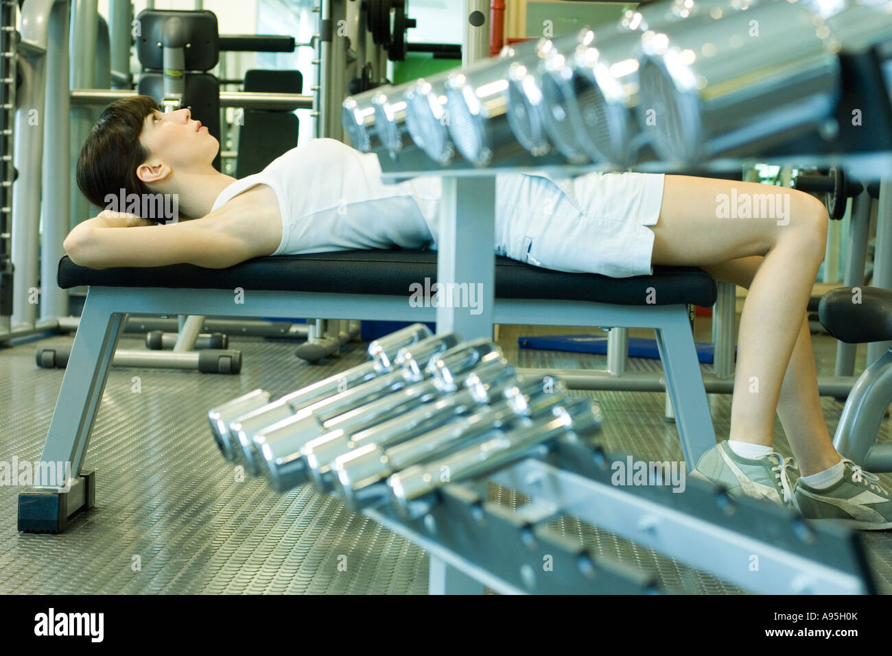 Weight bench in stock hotsell