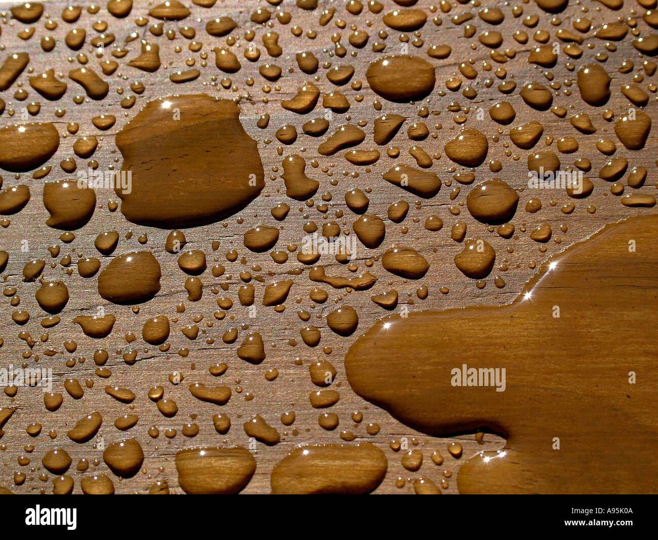 Texture of light wood strips with small water droplets. Stock Photo by  wirestock
