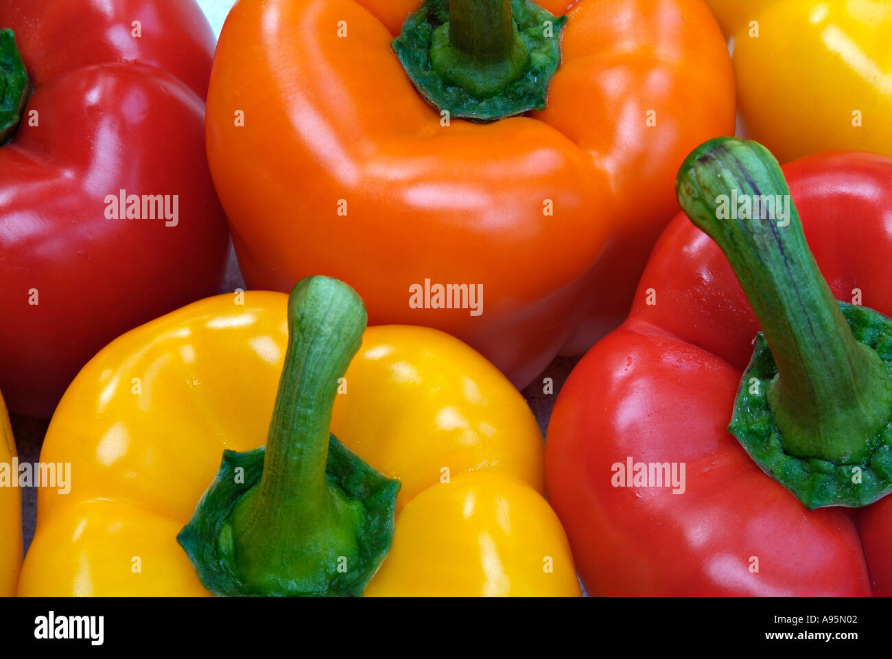 Red orange and yellow peppers capsicum Stock Photo