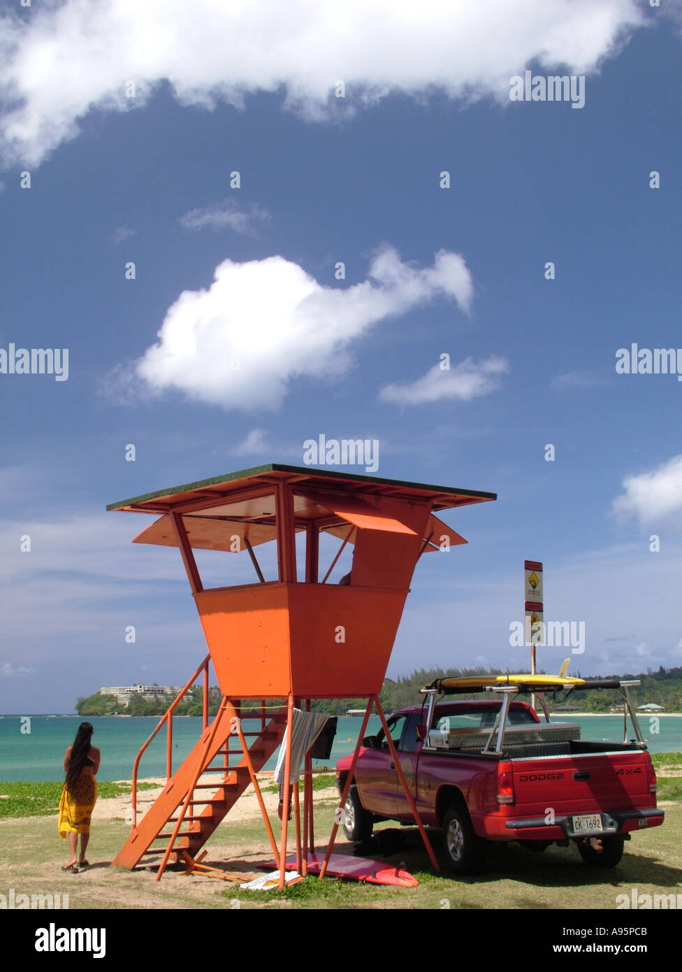 Pine tree kauai hires stock photography and images Alamy