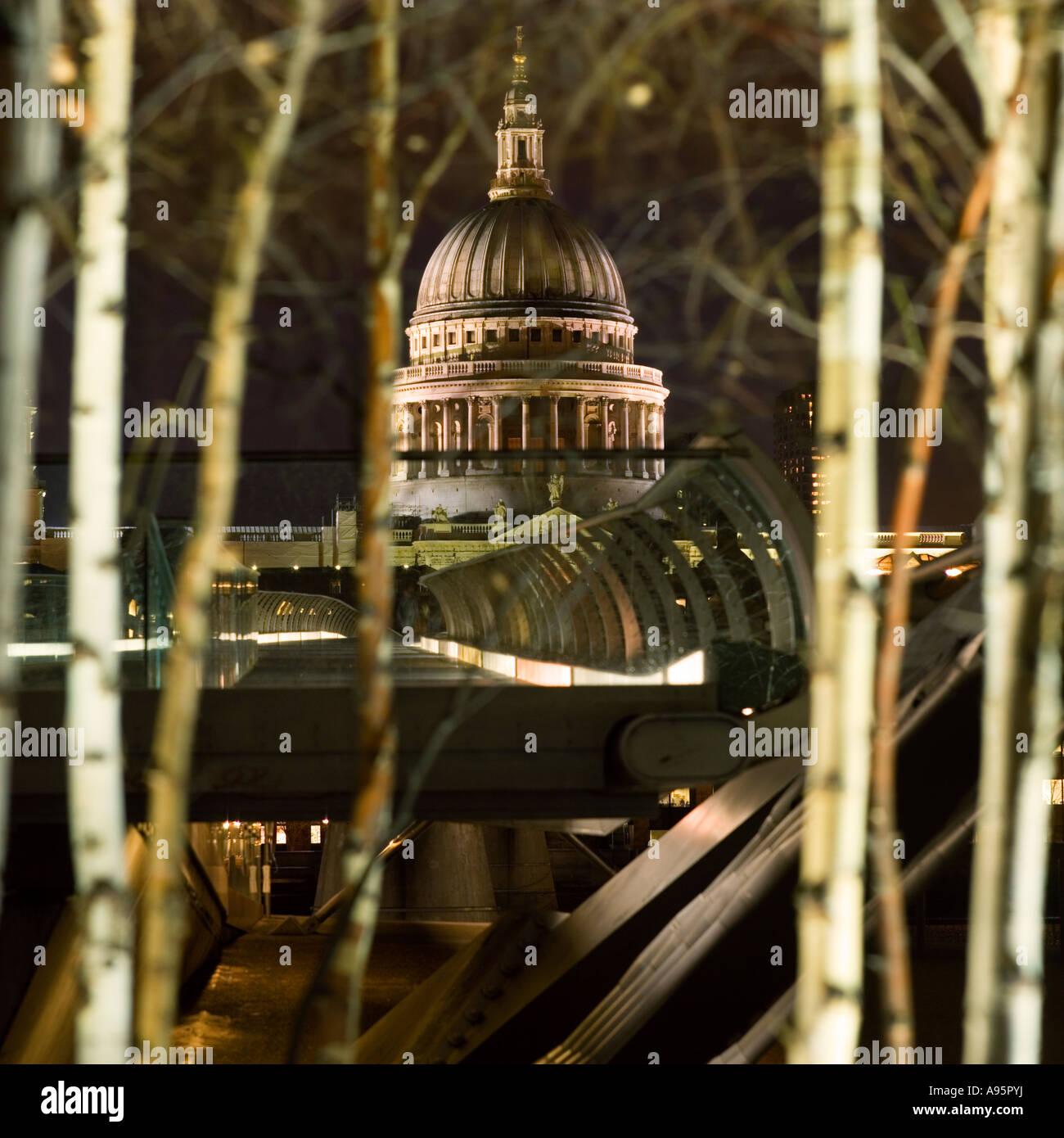 2007 St Pauls through birch trees London night illumination dark dramatic striking powerful Stock Photo