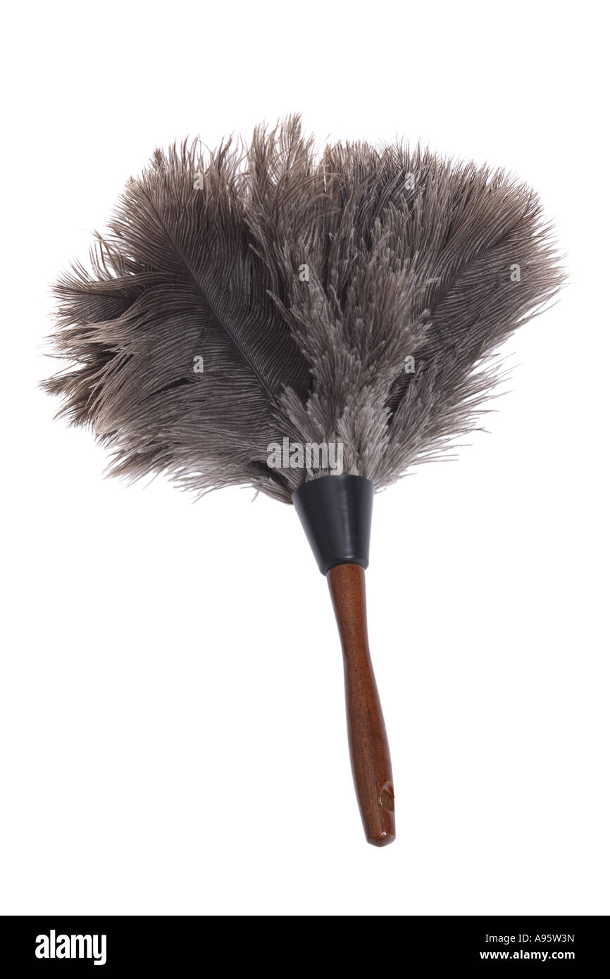 Feather Duster cut out on white background Stock Photo