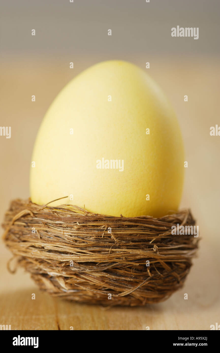 Easter egg in a birds nest Stock Photo Alamy