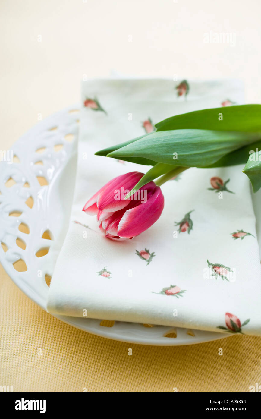 Tulip on plate with napkin Stock Photo