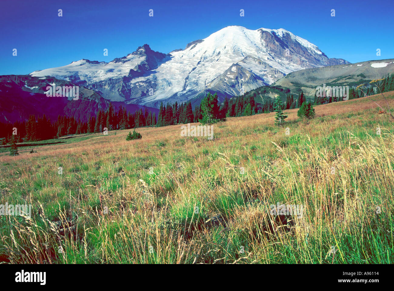 Mt Rainier above Sunrise Stock Photo - Alamy