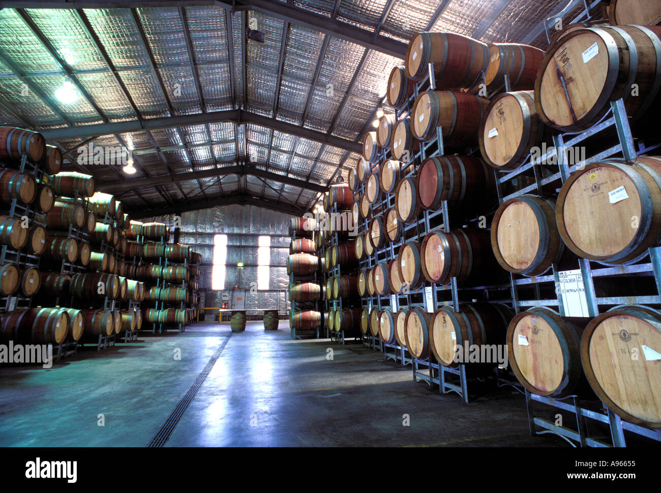 Wine barrels at Vasse Felix Winery Cowaramup Western Australia Stock