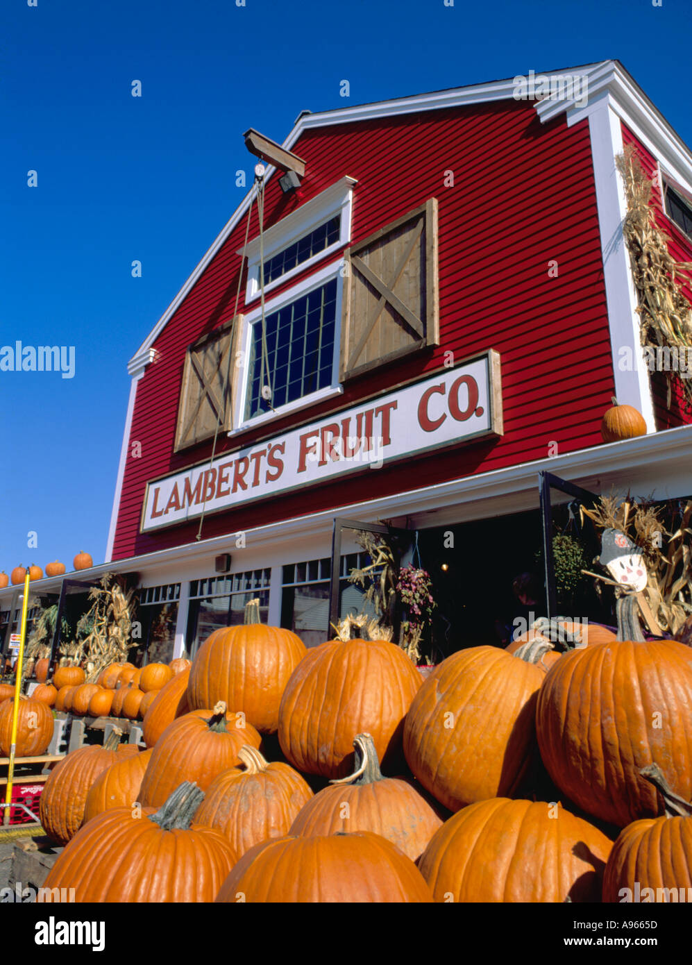 pumpkins outside fruit shop Cape Cod New England Stock Photo