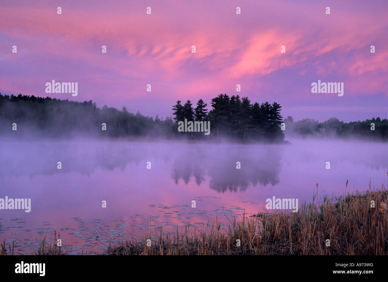 Predawn glow in sky over pond in Burwash, Ontario, Canada Stock Photo