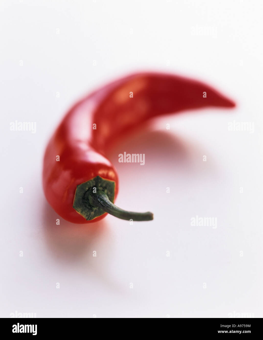 A Serrano Chili FoodCollection Stock Photo