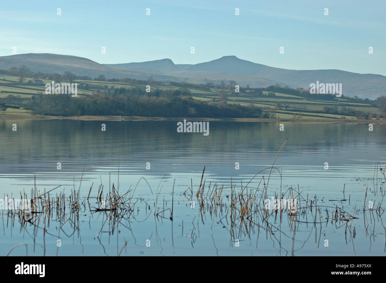 Llangorse Lake Brecon Beacons Stock Photo Alamy