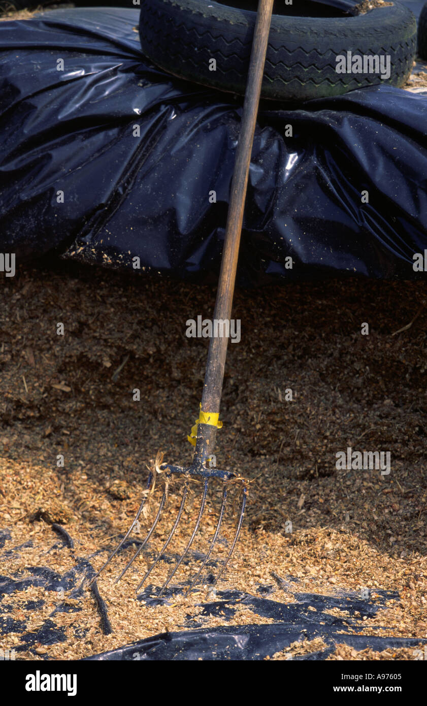 Pitchfork in a manure Stock Photo Alamy