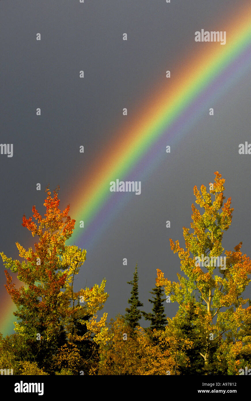 Autumn Rainbow Copper River Valley Alaska Stock Photo Alamy