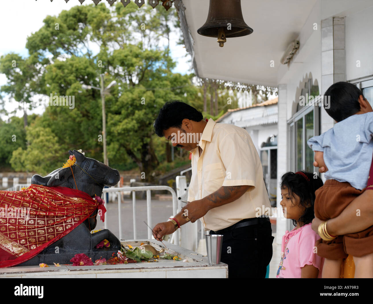 Grand Bassin Mauritius Family Father Preparing Offerings for Nandi Stock Photo